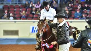 A Judges Perspective 2017 AQHA World Senior Ranch Riding World Champion [upl. by Courtnay840]