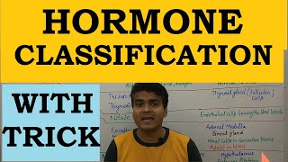 Hormone in Hindi  Hormone Classification Tricks  Site of Secretion  Endocrine System  MCQ  NEET [upl. by Linnette218]