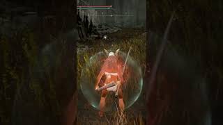 ELDEN RING DLC Shadow of the Erytreę  Done Dry Leaf Boss eldenring fromsoftware soulslike [upl. by Yasnil163]