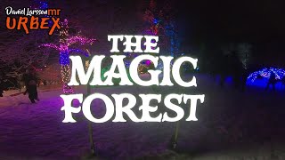 THE MAGIC FOREST Stället som sammanfattar året som gått GOTT NYTT ÅR [upl. by Ayekan]