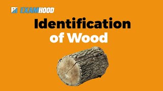 Identification Of Wood [upl. by Noyek]