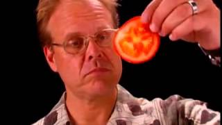 Shun Knife Anatomy  Alton Brown Shares why Shun Knives are His Favorite [upl. by Nohsreg]