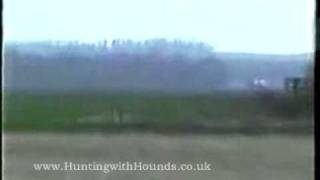 Kippers Bitch Vs The Captain  Pre Ban Hare Coursing [upl. by Ansela]