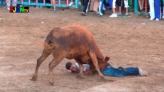 Vaquillas Enfundadas  Festa La Vila 2015  La Vilavella Castellon Bous Al Carrer Toros FJGNtv [upl. by Lesko]