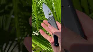 Spyderco SHAMAN S30v BladeBarn edc everydaycarry edcknife edcgear spyderco [upl. by Fisoi139]