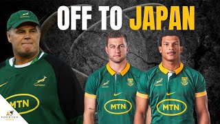 SPRINGBOK DUO SET FOR JAPAN MOVES  Rugby Transfer News [upl. by Yerfdog]