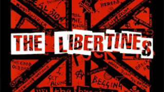 The Libertines  Cant Stand Me Now with lyrics in description [upl. by Eninnej]