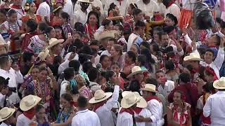 Guelaguetza 2019  En Vivo [upl. by Richia]