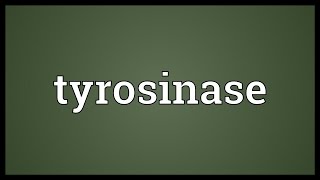 Tyrosinase Meaning [upl. by Bigelow]