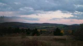 Maine 10 Land Acres For Sale Low Cost 15900 MOOERS 7867 [upl. by Morette]