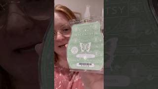 Scentsy Pistachio Woods waxmelts scentsybars [upl. by Wina179]