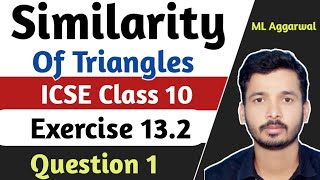 ICSE Class 10 Similarity  Chapter 13 Exercise 132  M L Aggarwal ICSE Class 10  Question 1 [upl. by Schnur]