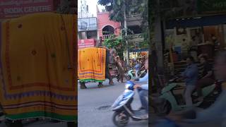 Haathi mere Saathi elephant elephantvideo sanwargadri tamil [upl. by Yezdnil]