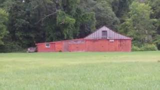 Exploring an abandoned barn in Kirtland Ohio [upl. by Kevon794]