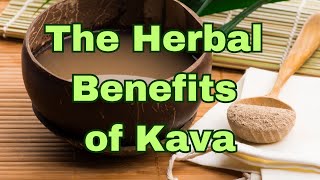 Kava The MAGICAL Solution to Many Health Issues [upl. by Eanat518]