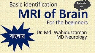 Episode01 বাংলায় MRI of Brain For students Beginner practitioners Clinicians Basic identification [upl. by Fiester]