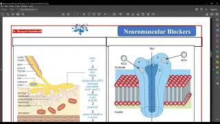 Neuromuscular blocking Drugs By Dr Elsayed Abdelhad 2023 [upl. by Franciskus980]