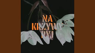 Na Krzywy Ryj Radio Edit [upl. by Minna]