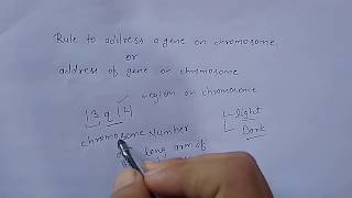 How to represent gene cytological location on chromosome [upl. by Ivanna211]