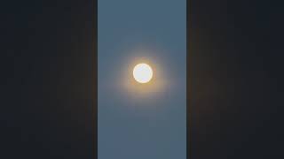 Kumari Purnima Song 💞 Kuwanro Punei Janha go fulo boila beni kumarpurnima purnima Odisha [upl. by Nwahshar281]