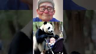 quotPanda Nanny The Sweetest Baby Carequot panda cute animals [upl. by Mahda]