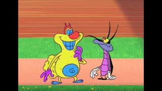 हिंदी Oggy and the Cockroaches  All Out Of Shape S02E86  Hindi Cartoons for Kids [upl. by Thorrlow]