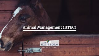 Animal Management  Course Presentation  Virtual Open Evening 2021  The Sixth Form at Ripley [upl. by Hogle]