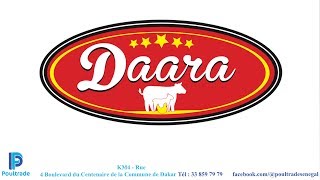 Daara 100  Halal [upl. by Gnuhp264]