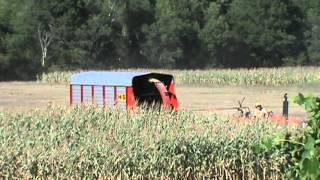 Chopping Corn Silage 2012 Day 1 [upl. by April660]