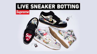 🔴 LIVE COP  Botting the Supreme Nike SB Dunk High Low Rammellzee [upl. by Sharron]