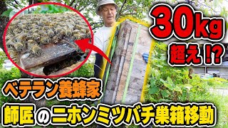 30kg超え！？ベテラン養蜂家のニホンミツバチ巣箱移動 [upl. by Gans]