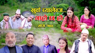 खुवा चायलेंज II Garo Chha Ho II Episode 174 II Oct 30 2023 II Begam Nepali II Riyasha Dahal [upl. by Icken]