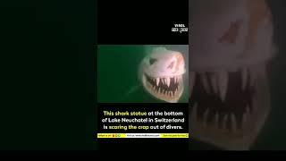 THIS SHARK STATUE AT THE BOTTOM OF LAKE NEUCHATEL IN SWITZERLAND IS SCARING THE CRAP OUT DIVESSHORT [upl. by Pyle]