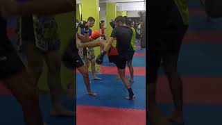 Muaythai training camp mma thaifight thaiboxing martialarts ufc kickboxing muaythaithailand [upl. by Suirad640]