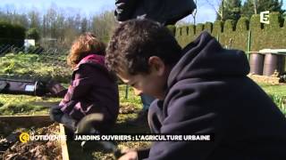 Jardins ouvriers  lagriculture urbaine [upl. by Elocim]