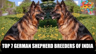 TOP 7 German Shepherd Breeders Of India [upl. by Ojeillib]