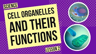 Exploring Cells Organelles and their Functions [upl. by Dnilazor]