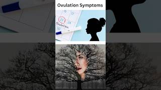 🌜Ovulation Symptoms🌛 [upl. by Mullane]