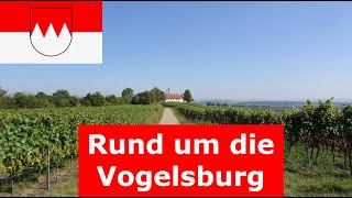 🚶🏽‍♂️ Sonnige WeinWanderung rund um die Vogelsburg am Main bei VolkachNordheimEscherndorf [upl. by Eronel]