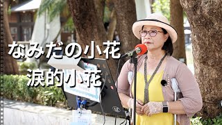 なみだの小花淚的小花｜何子欣 演唱｜台中公園 街頭藝人 [upl. by Pubilis]