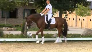 wwwdressagetalentscom  Moorlands Grizou [upl. by Pufahl902]