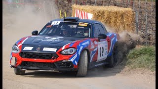 Rallye dEpernay 2019  Show   Sortie de AVauthier [upl. by Aihseyn]