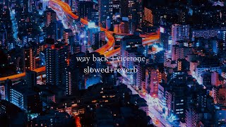 WAY BACK  VICETONE slowed  reverb [upl. by Teryl592]