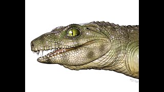 Notosuchus A Prehistoric Carnivorous Land Croc From Patagonia [upl. by Atsyrk400]