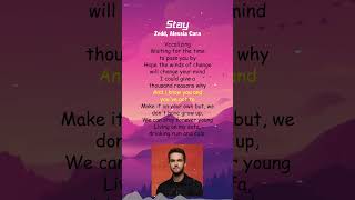 Zedd Alessia Cara  Stay Lyrics shorts [upl. by Nylsoj522]