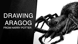 Drawing Aragog Harry Potter [upl. by Iaverne320]