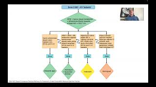 10 Years of Experience with ARNI SacubitrilValsartan in the Treatment of Heart Failure [upl. by Ramat]