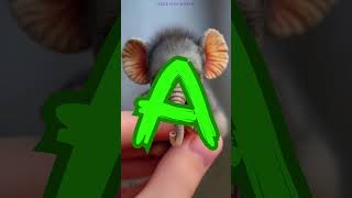 How to Spell ELEPHANT  Learn Spelling with Fun Animations Shorts [upl. by Esital]