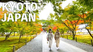 【4K】Autumn Kyoto Nanzenji Temple Walking Tour  JAPAN 2022 [upl. by Hays]