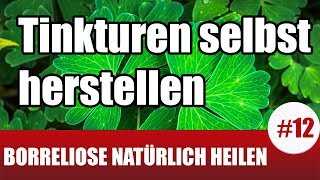 BorrelioseTherapie mit Tinkturen  Tinkturen selbst herstellen  SteviaTinktur  Borreliose 12 [upl. by Ditmore]